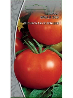Семена томат Ямал 200, 0,05 г раннеспелый Ваше хозяйство 13457279 купить за 91 ₽ в интернет-магазине Wildberries