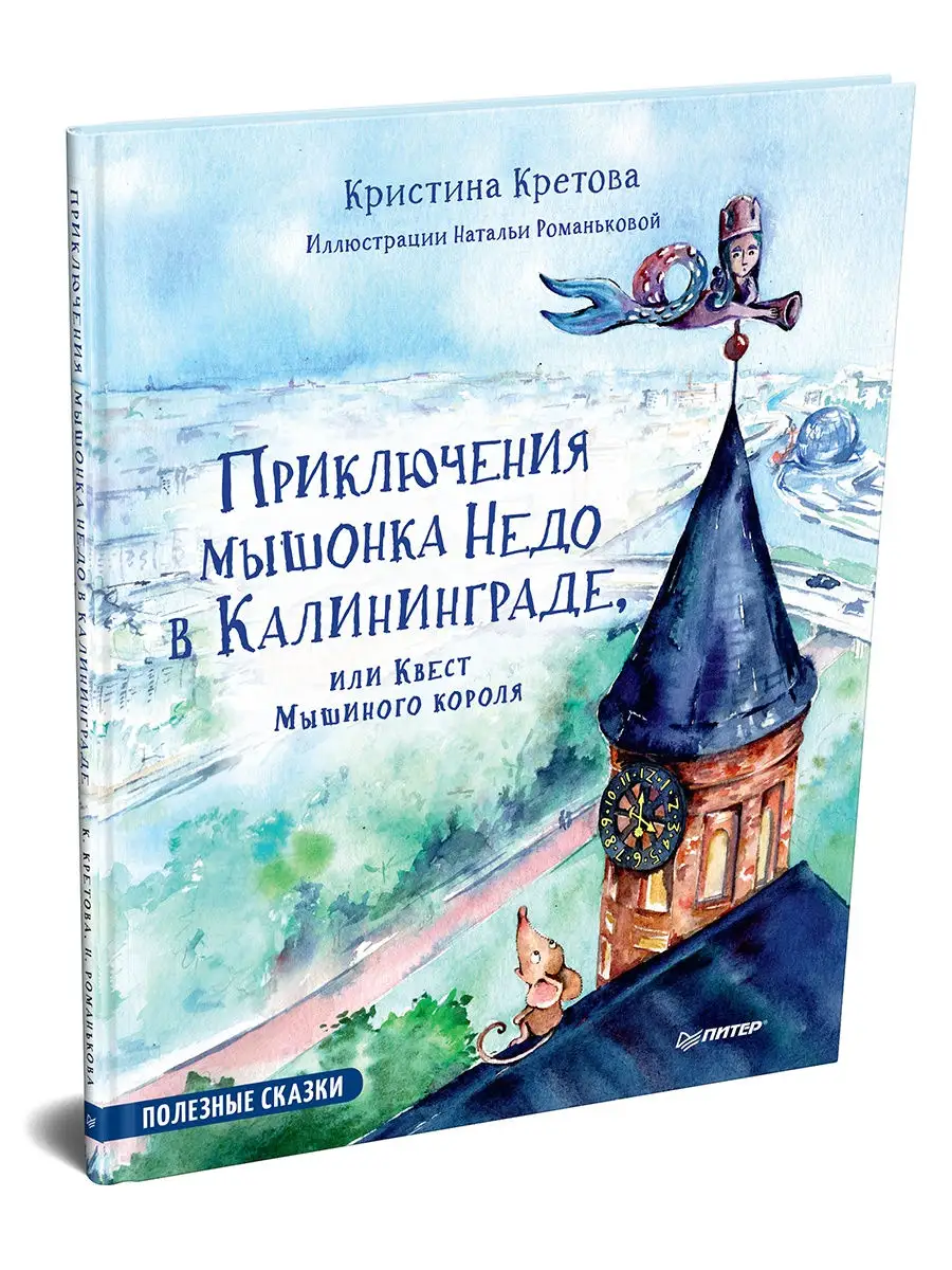 Приключения мышонка Недо в Калининграде ПИТЕР 13463739 купить за 542 ₽ в  интернет-магазине Wildberries