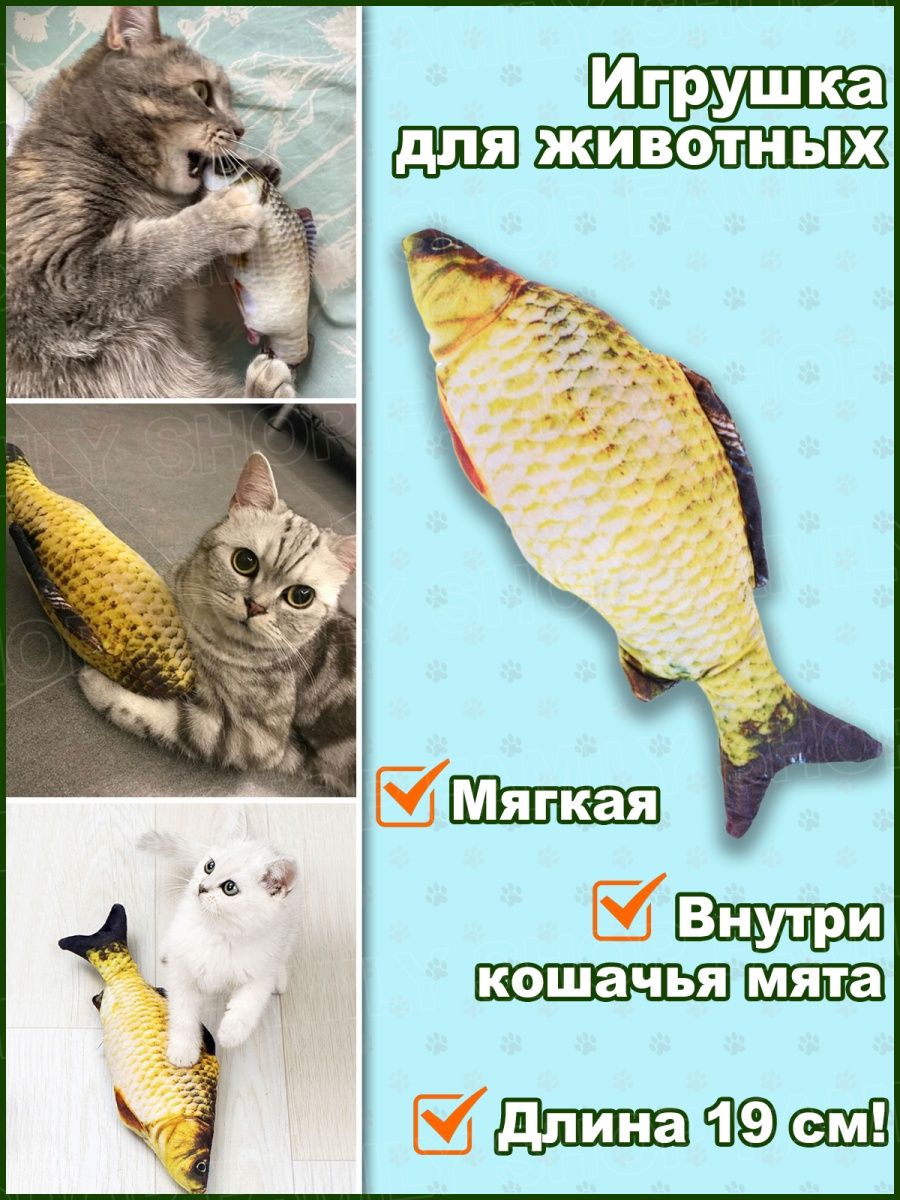 Рыба фэмили. Рыба с мятой для кошек. Рыба с кошачьей мятой для кошек. Рыба для кошек дешевая. Карп Фэмили.