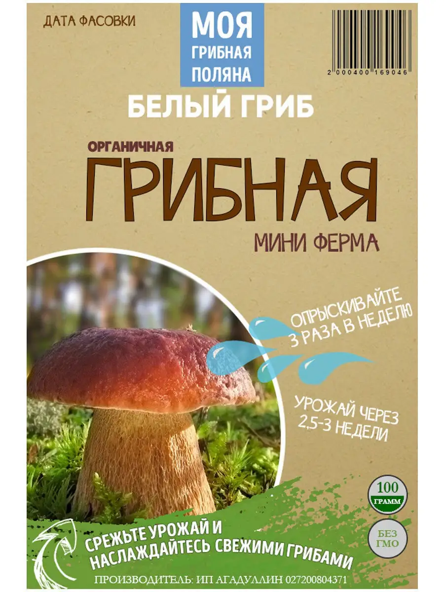 Здравствуй, груздь Десять домов-грибов со всего мира: Фото: Город: Среда обитания: maxopka-68.ru