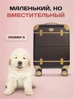 Чемодан на колесах S ручная кладь TV PROFFI 13511010 купить за 6 681 ₽ в интернет-магазине Wildberries