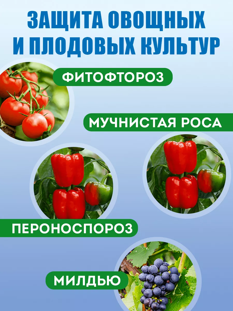 Средство от болезней растений томатов, огурцов Провизор 10мл Грин Бэлт  13514244 купить за 253 ₽ в интернет-магазине Wildberries