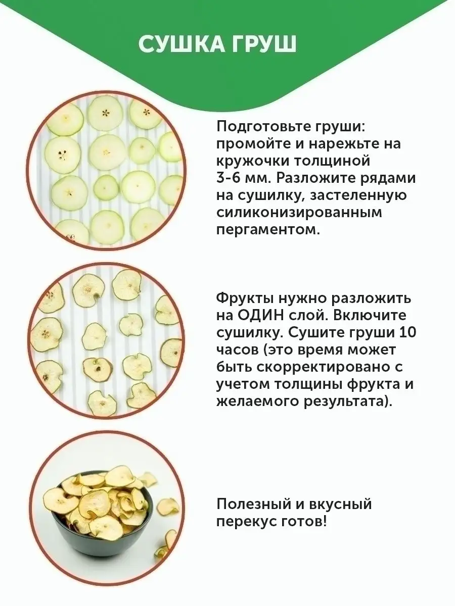 Сушилка дегидратор для фруктов и овощей ПЛЭН 13586446 купить в  интернет-магазине Wildberries