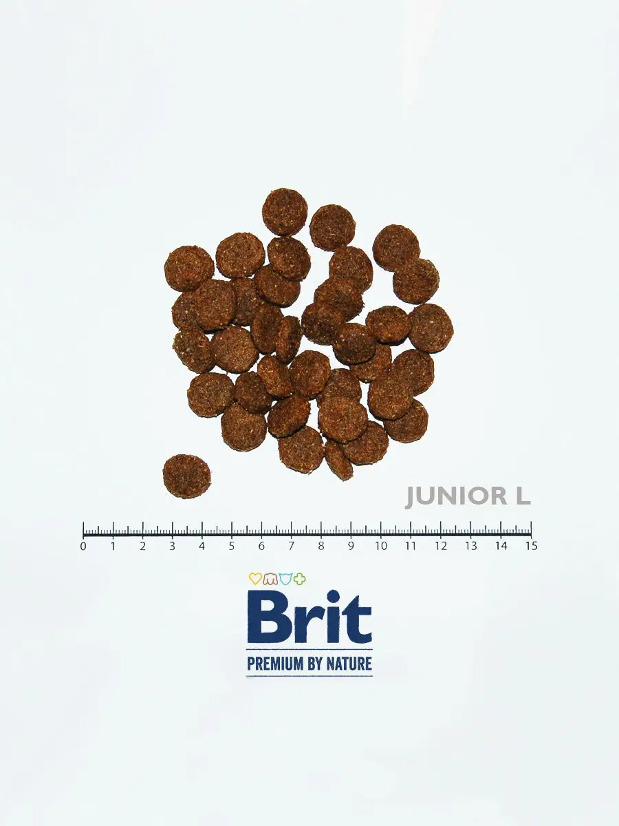 Brit premium by nature store junior l 15 kg