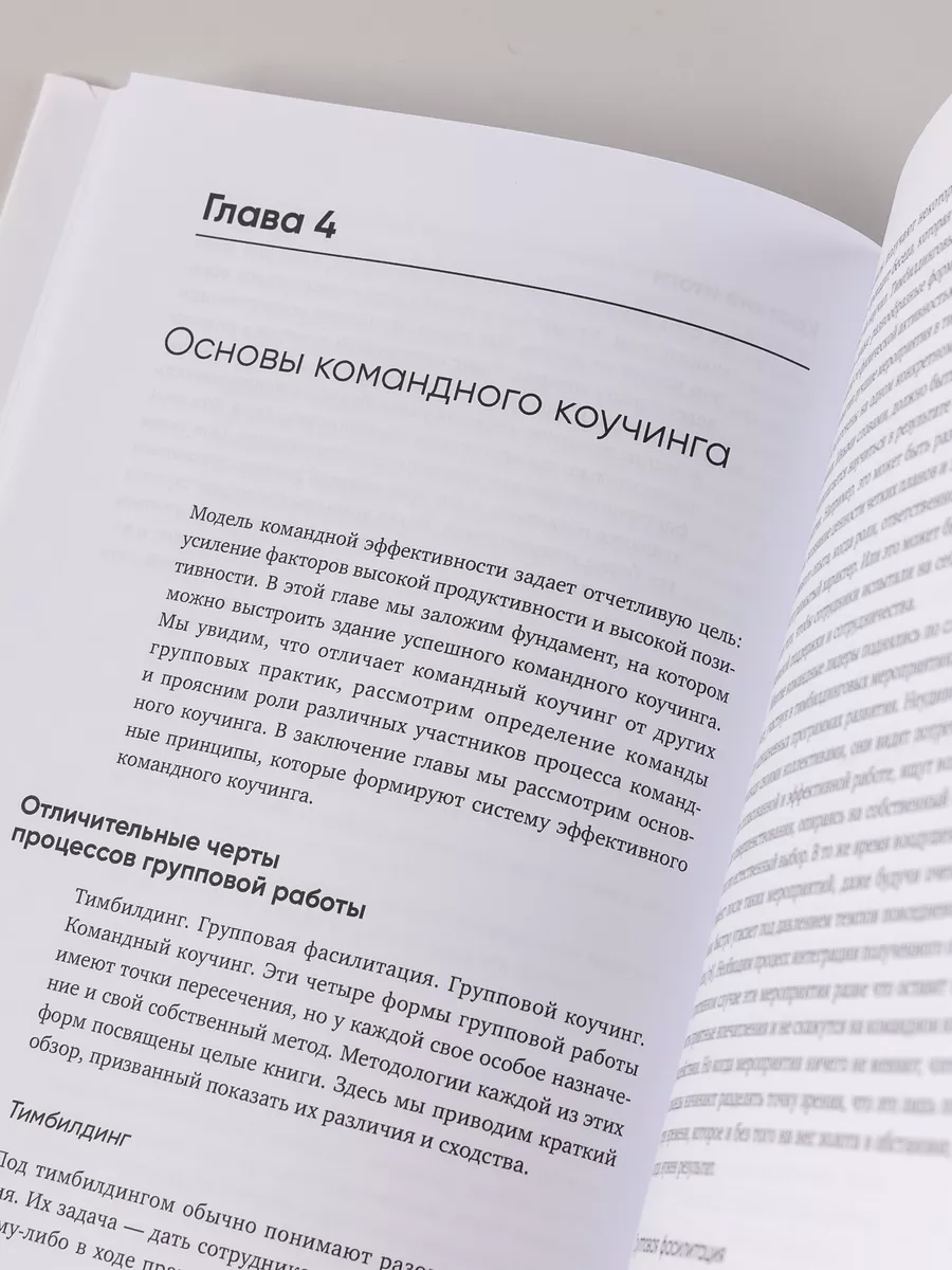 Потенциал команды Альпина. Книги 13599530 купить за 566 ₽ в  интернет-магазине Wildberries