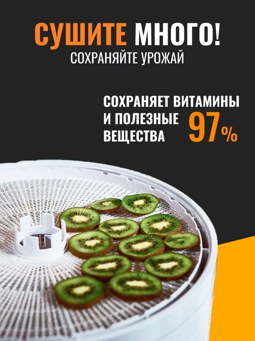 волтера Сушилка -1000 с таймером, белый, фото 7