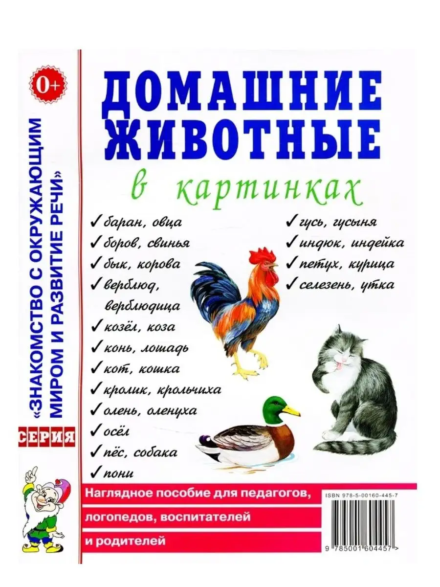 Домашние животные в картинках. Наглядное пособие ИЗДАТЕЛЬСТВО ГНОМ 13616136  купить за 231 ₽ в интернет-магазине Wildberries