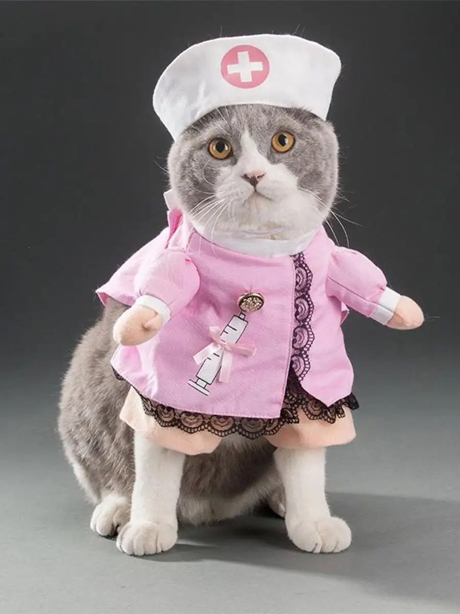 Как сделать костюм кошки для девочки своими руками