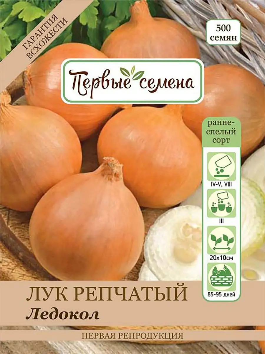 Лук ледокол описание сорта фото отзывы севок. Лук ледокол описание сорта фото отзывы севок. Лук ледокол описание сорта фото отзывы севок. Лук севок ледокол. Лук репчатый сорта.