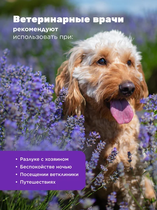AROMADOG Игрушка для собак собачка 12 см малая сиреневая, фиолетовый, фото 4
