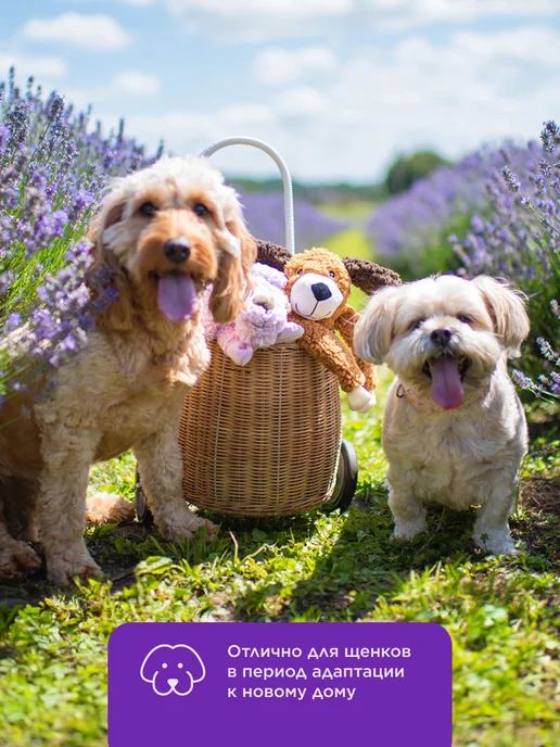 AROMADOG Игрушка для собак собачка 12 см малая сиреневая, фиолетовый, фото 5