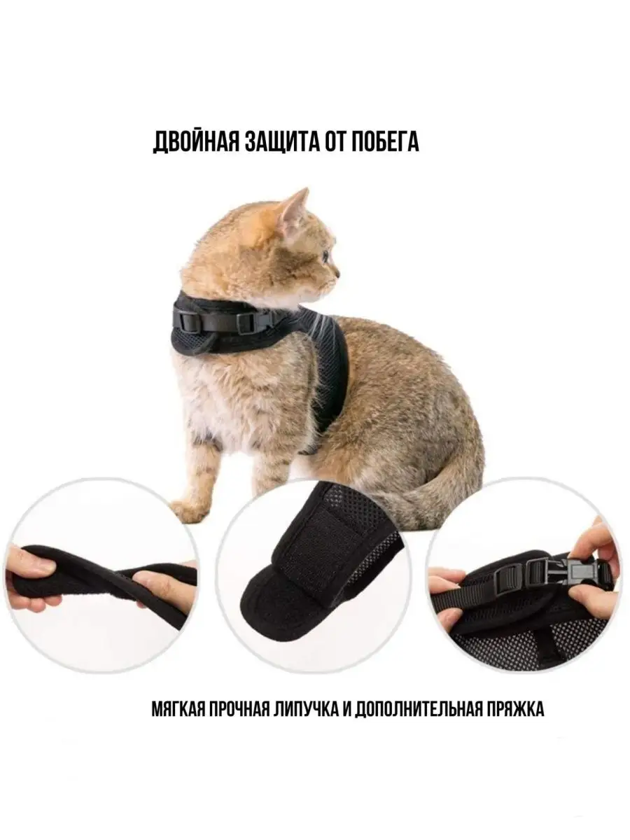 Шлейки для кошек купить поводок для кота недорого в интернет-магазине, цена с доставкой в Москве