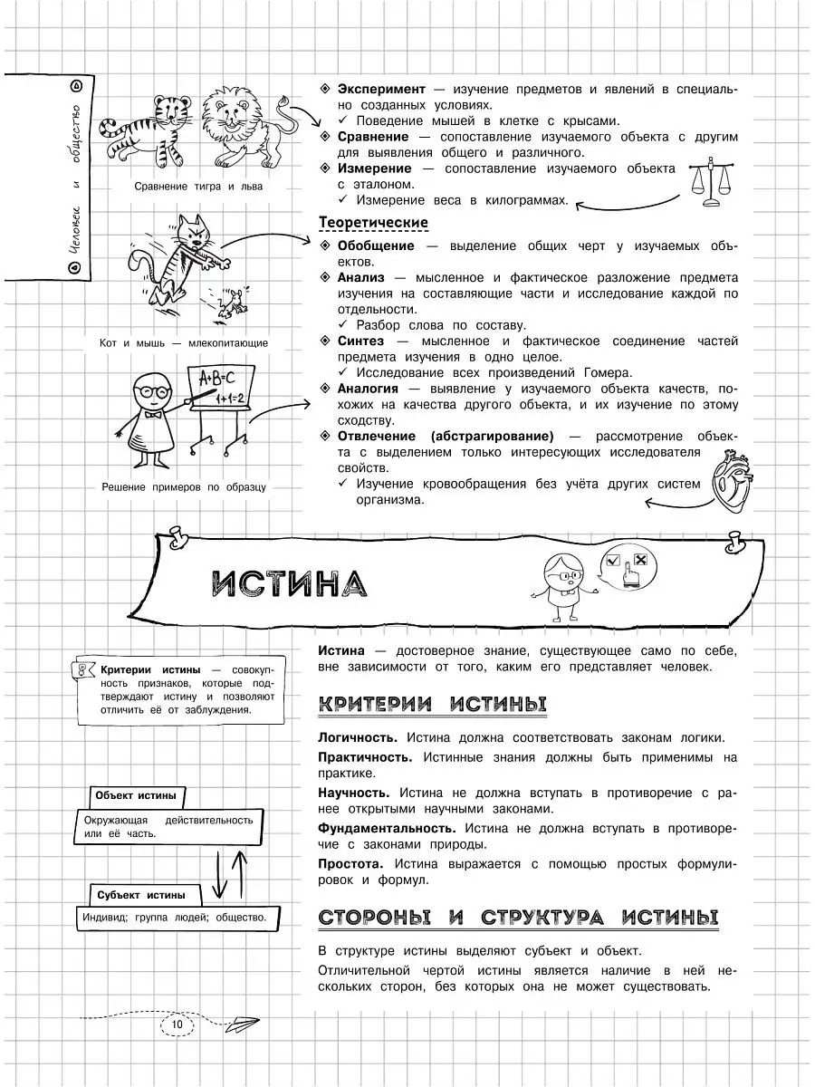 Наглядное обществознание Эксмо 13741183 купить за 335 ₽ в интернет-магазине  Wildberries