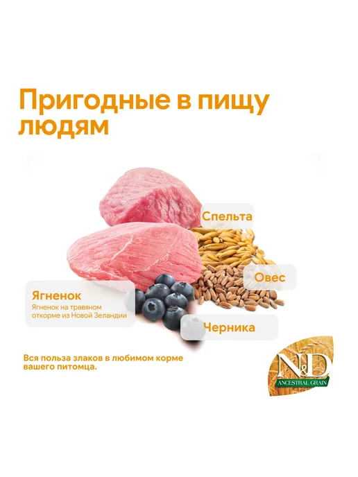 Сухой корм Farmina Черникой для собак, мелкие, щенки, ягненок, 0,8 кг, фото 3