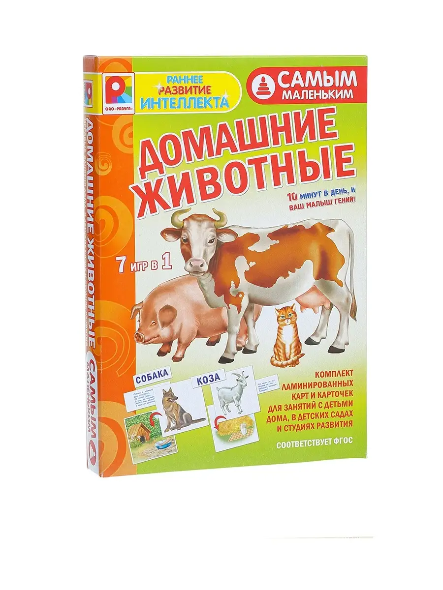 Развивающая игра 