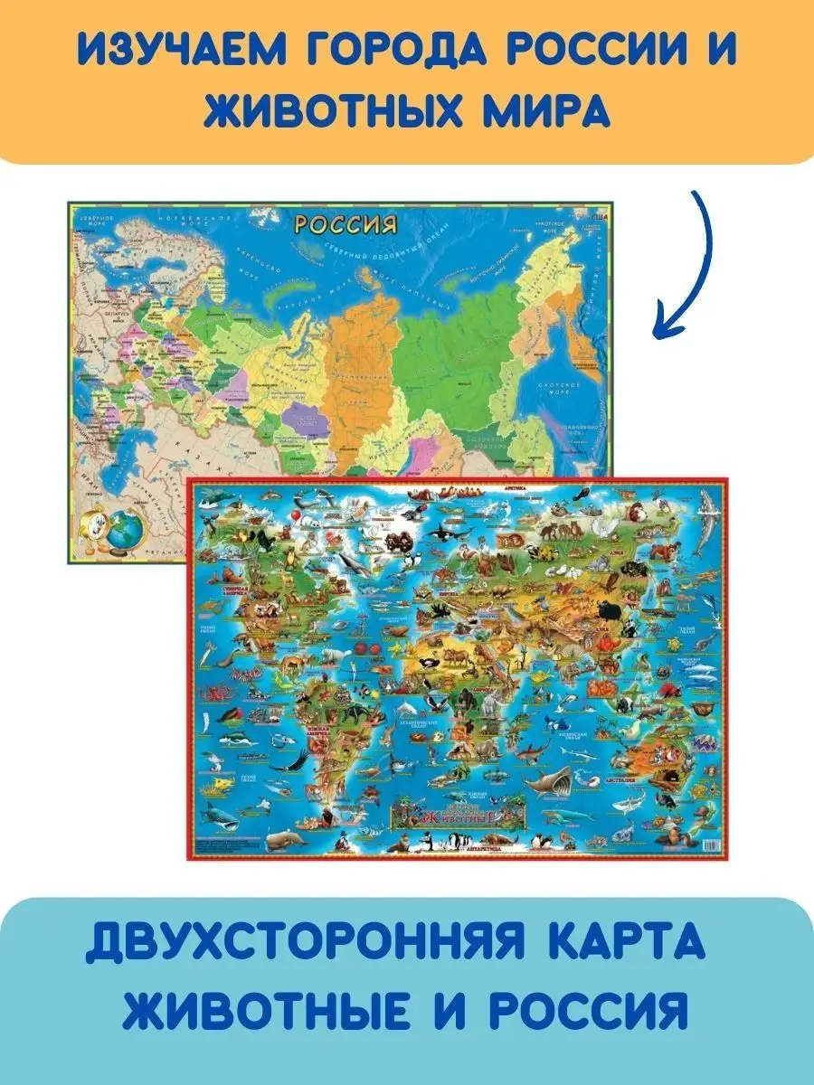 Карта мира для детей Животные и карта России настольная Бумбарам 13774367  купить в интернет-магазине Wildberries