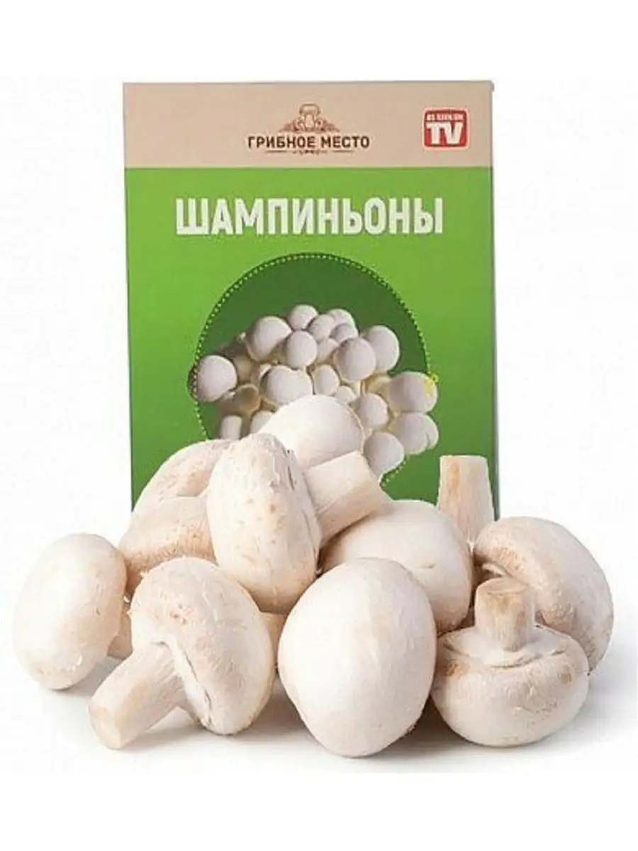 Грибы для выращивания в домашних условиях купить. Семена шампиньонов. Семена грибов шампиньонов. Коробка с шампиньонами. Ящик для выращивания грибов.