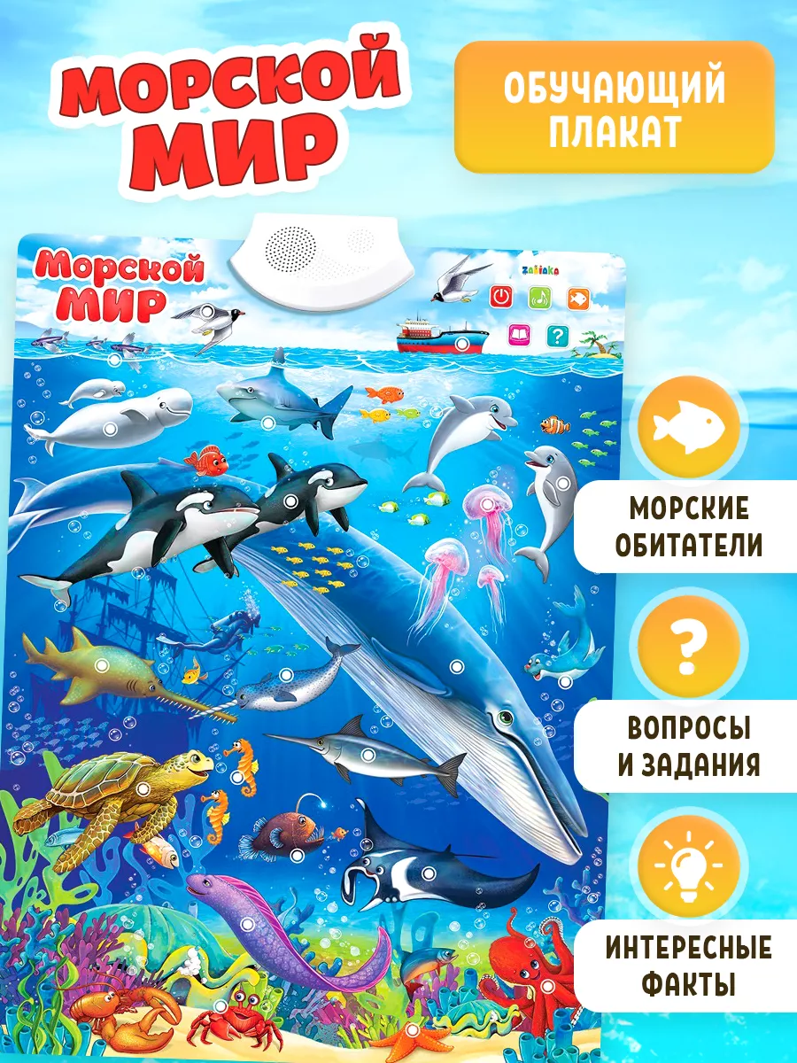 Обучающий плакат Морской мир ZABIAKA 13784474 купить за 461 ₽ в  интернет-магазине Wildberries