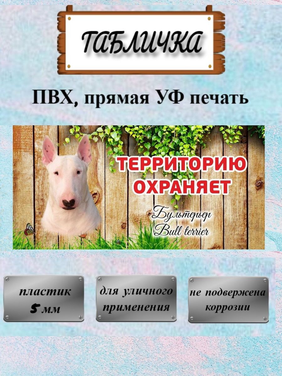 Табличка осторожно злая собака Бультерьер бел. на ворота Pet-Attribute  13820954 купить в интернет-магазине Wildberries