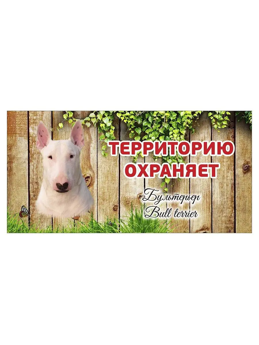 Табличка осторожно злая собака Бультерьер бел. на ворота Pet-Attribute  13820954 купить в интернет-магазине Wildberries