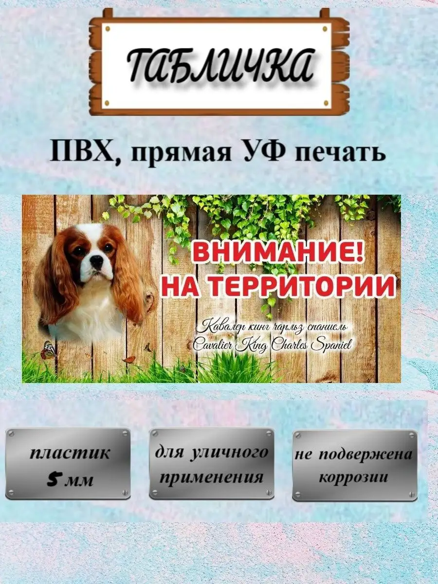 Табличка осторожно злая собака Кавалер кинг чарльз спаниель Pet-Attribute  13820972 купить в интернет-магазине Wildberries