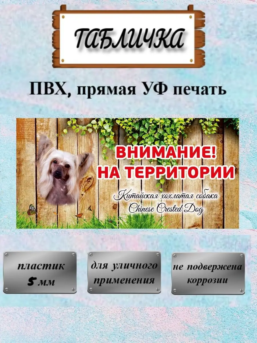 Табличка осторожно злая собака Китайская хохлатая собака Pet-Attribute  13820975 купить за 414 ₽ в интернет-магазине Wildberries