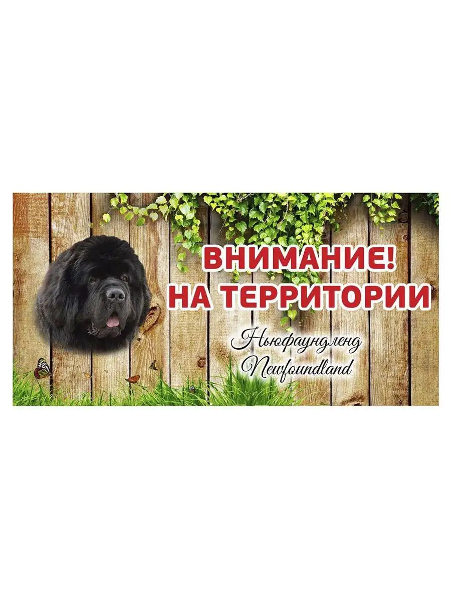 Табличка осторожно злая собака Ньюфаундленд на ворота на дом Pet-Attribute  13820991 купить за 291 ₽ в интернет-магазине Wildberries