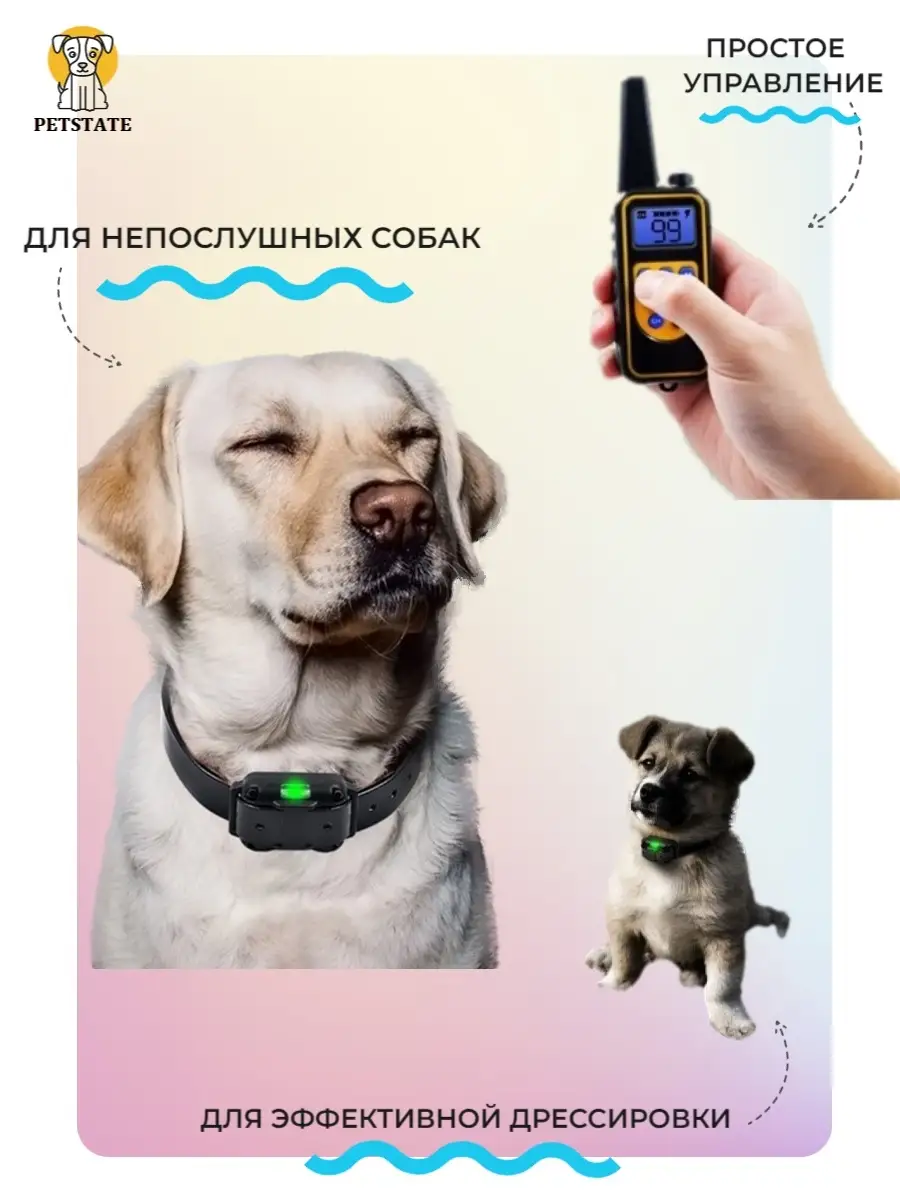 Электронный ошейник для дрессировки собак 800м Petcomer P880 PETCOMER  13846845 купить за 1 737 ₽ в интернет-магазине Wildberries