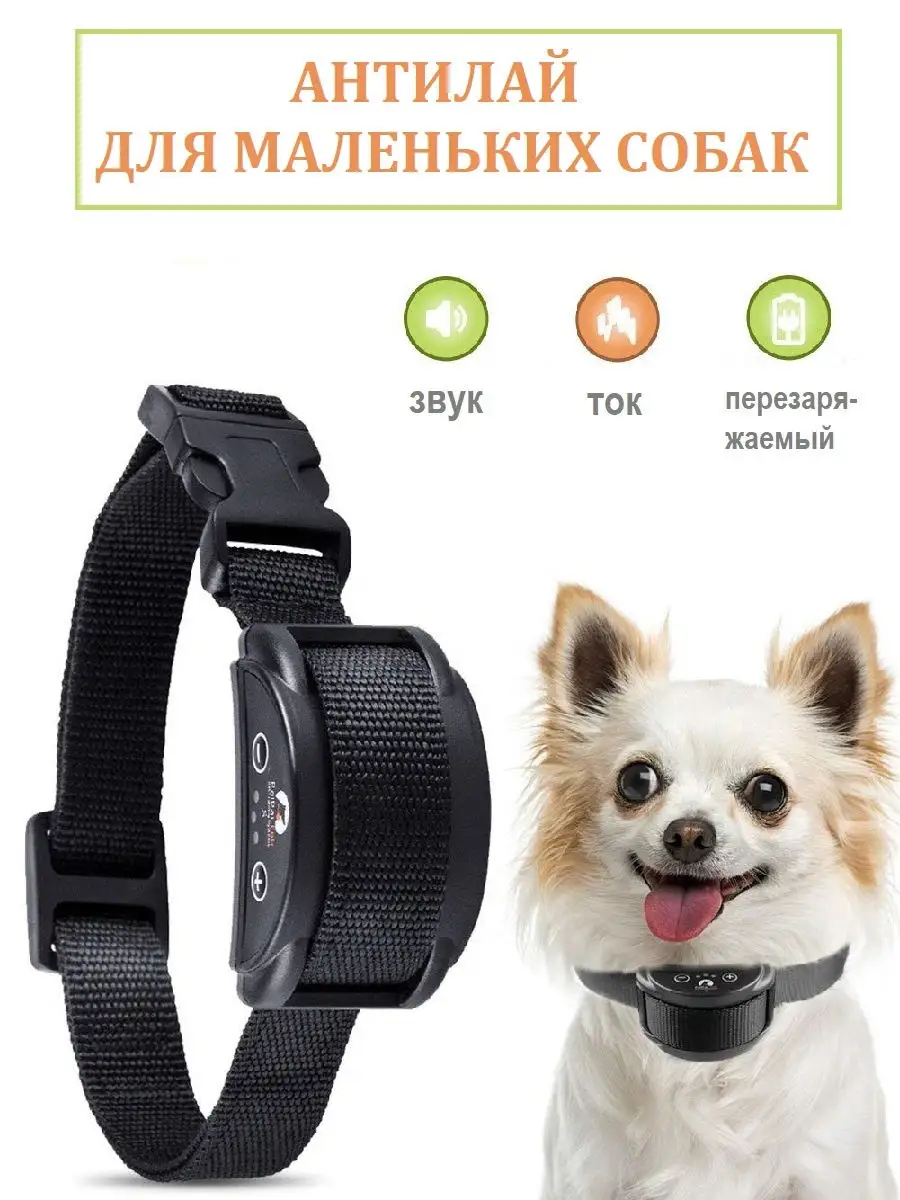 Ошейник-антилай для дрессировки маленьких собак PaiPaitek PD-258S PaiPaitek  13846851 купить в интернет-магазине Wildberries