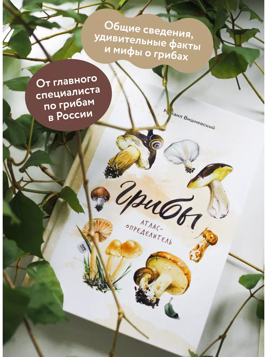 Грибы. Атлас-определитель Издательство Манн, Иванов и Фербер 13864285  купить за 980 ₽ в интернет-магазине Wildberries