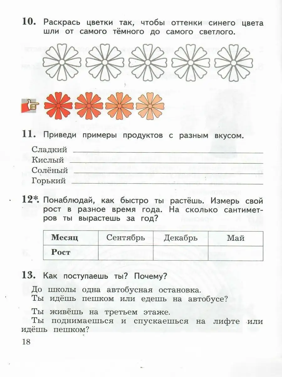 Окружающий мир 2 класс. Комплект из 2-х рабочих тетрадей Просвещение  13897903 купить за 816 ₽ в интернет-магазине Wildberries