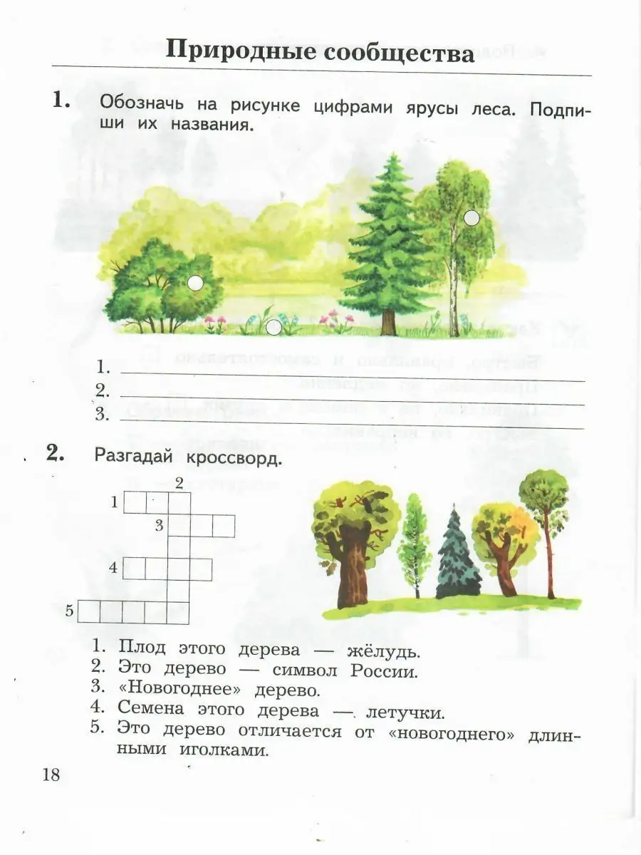 Окружающий мир 2 класс. Комплект из 2-х рабочих тетрадей Просвещение  13897903 купить за 816 ₽ в интернет-магазине Wildberries