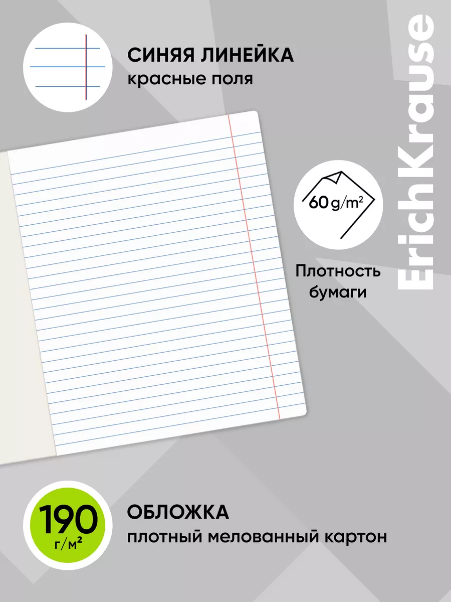 Тетрадь общая ученическая Русский язык, 48 л, линейка 5 шт ErichKrause  13951493 купить в интернет-магазине Wildberries