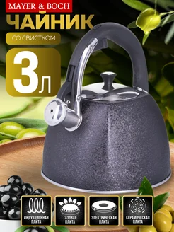 Чайник со свистком для плиты