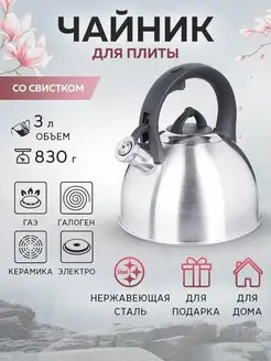 Чайник со свистком для плиты 3 л