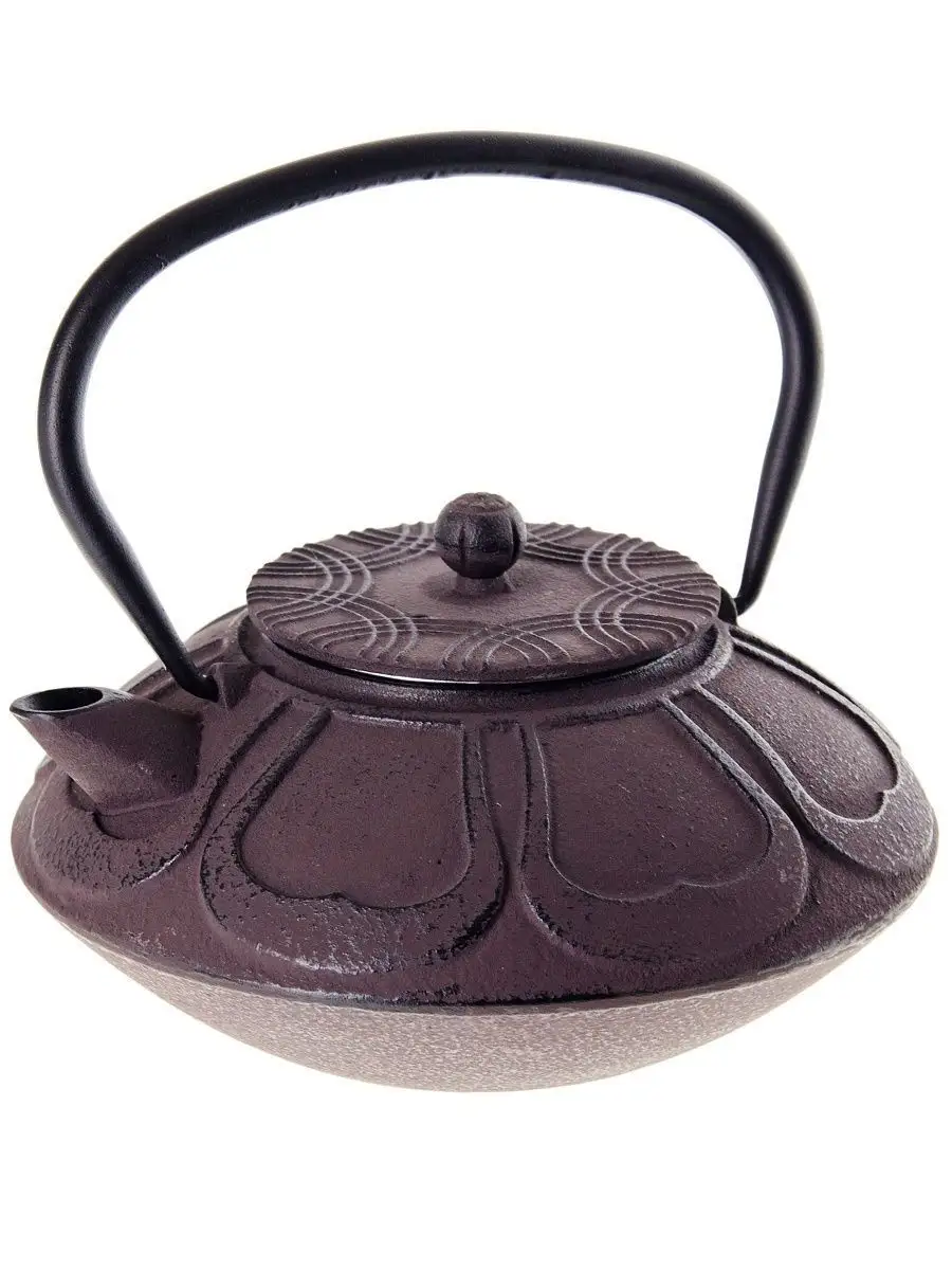 Чугунный чайник для кипячения. Чугунный чайник для заварки. Угольный чайник. Чайник из чугуна. Чайник чугунный байхуа 800 мл.