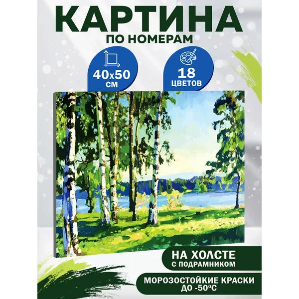 Картина по номерам на холсте с подрамником "Березовая роща"