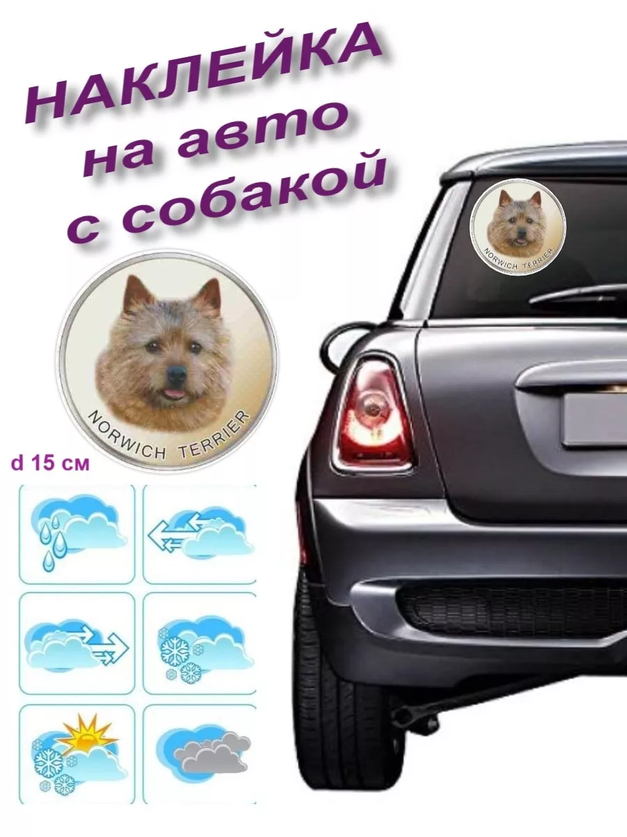 Наклейка на авто с собакой Норвич терьер Pet-Attribute 13989715 купить в  интернет-магазине Wildberries