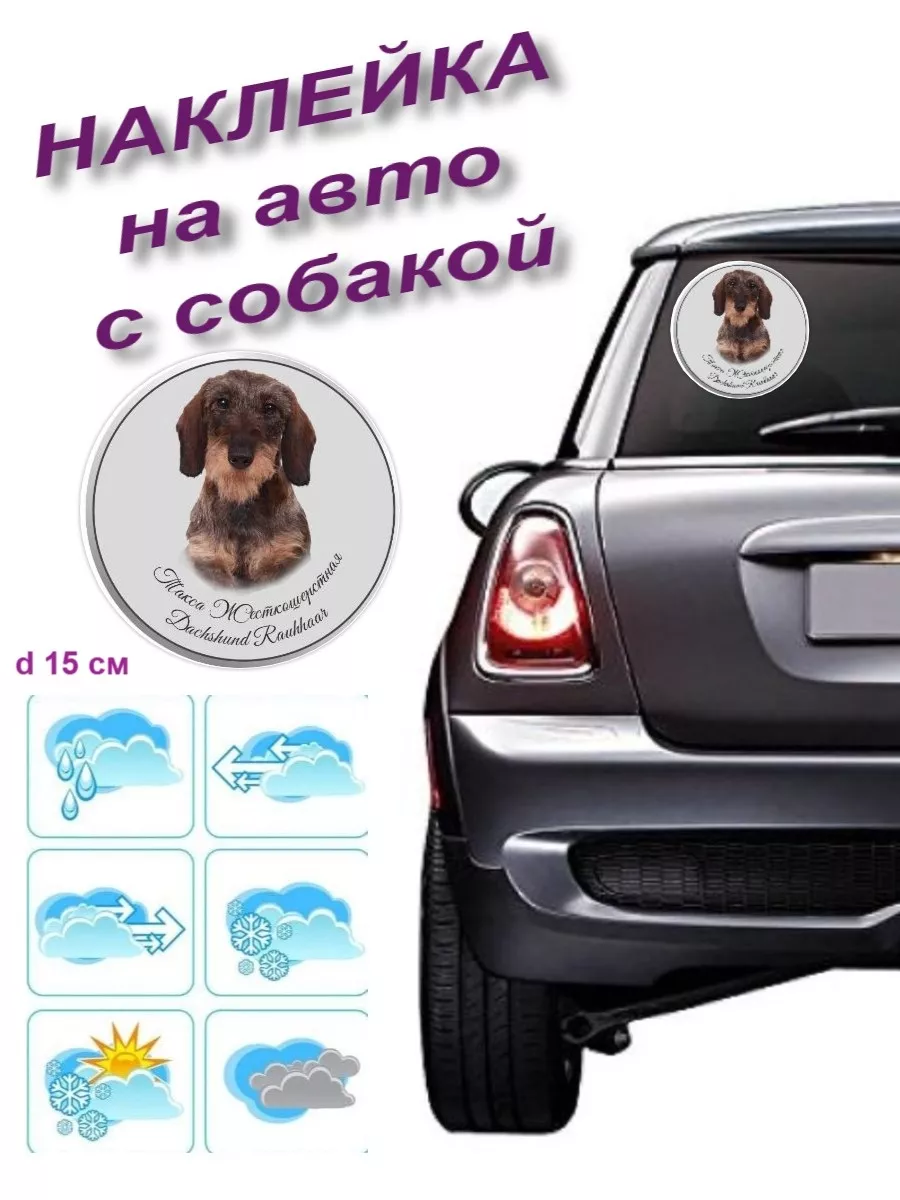 Наклейка на авто с собакой Такса жест. Pet-Attribute 13989761 купить за 281  ₽ в интернет-магазине Wildberries