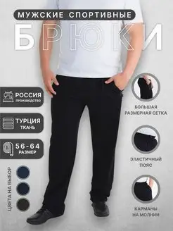 Спортивные штаны трикотажные Modern Walk 13995575 купить за 1 396 ₽ в интернет-магазине Wildberries