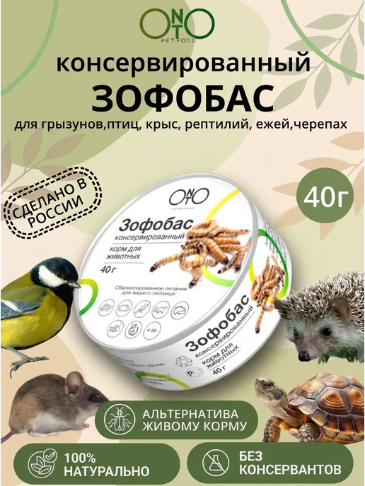 ONTO Консервированный сверчок 40 гр, 40 г