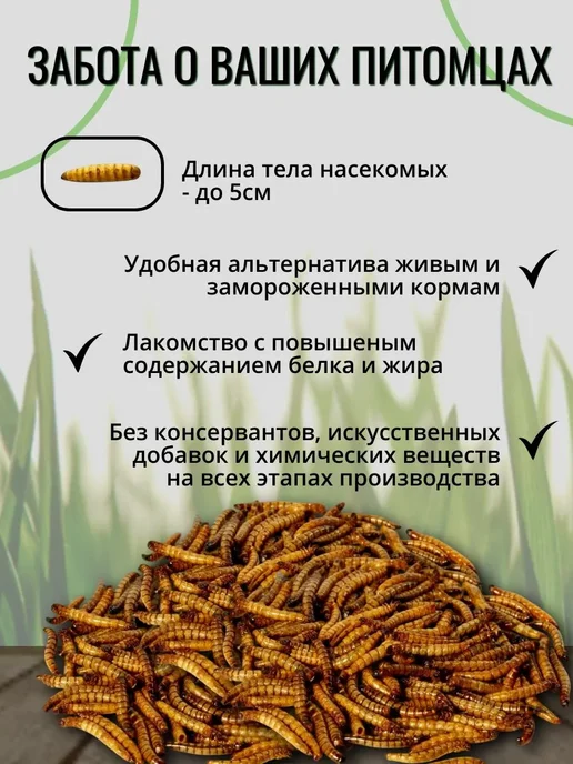 ONTO Консервированный сверчок 40 гр, 40 г, фото 2