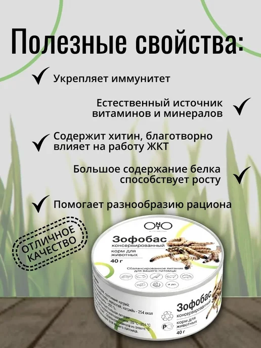 ONTO Консервированный сверчок 40 гр, 40 г, фото 4