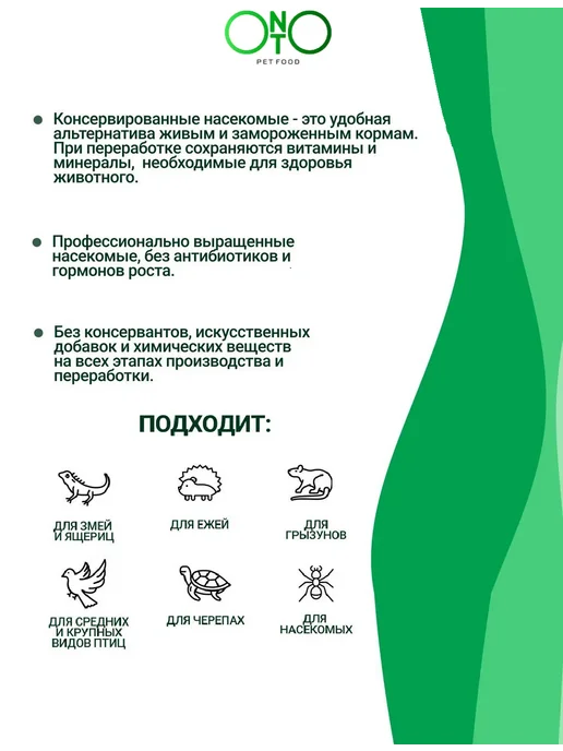 ONTO Консервированный туркменский таракан 40 гр, 40 г, фото 3