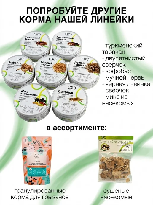 ONTO Консервированный туркменский таракан 40 гр, 40 г, фото 4