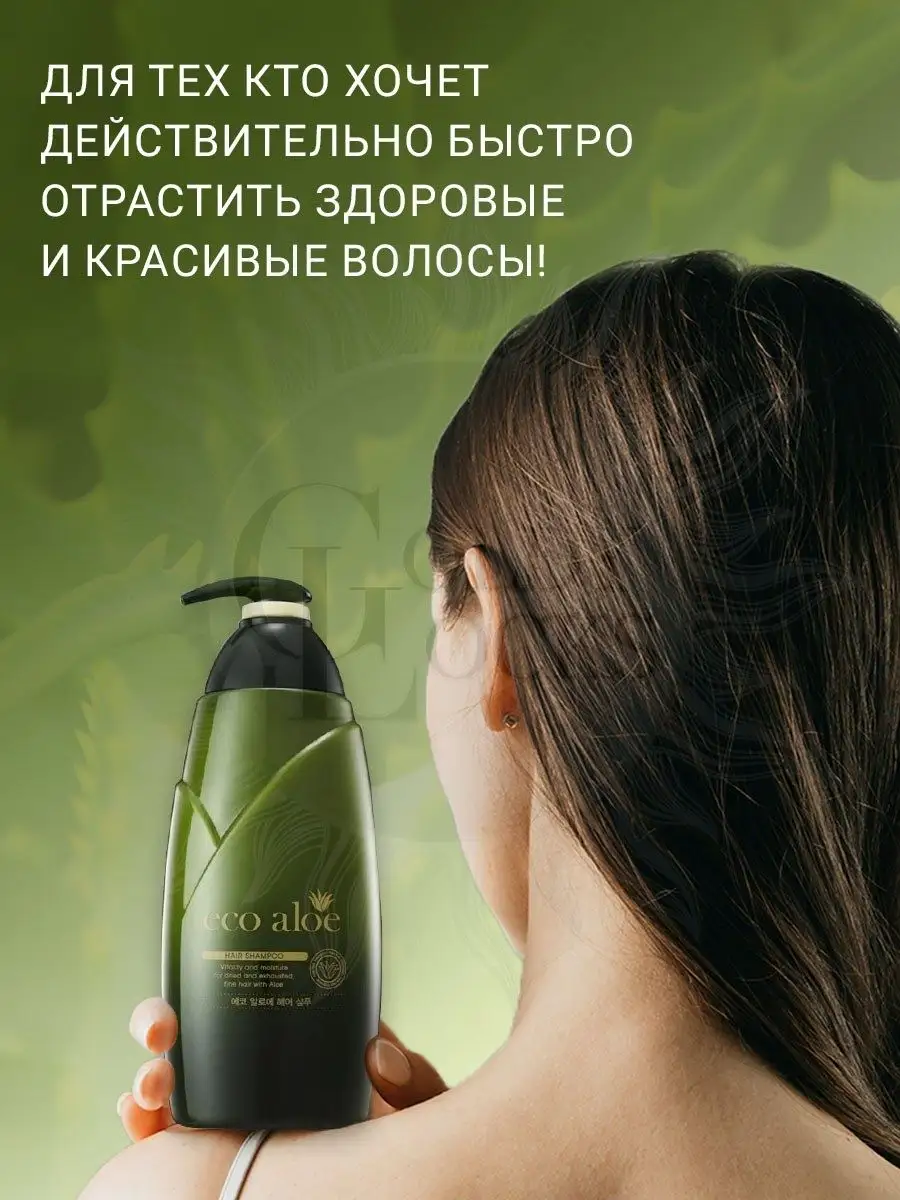 Шампунь увлажняющий Eco Aloe Hair Shampoo против выпадения GoldyLocks  14048410 купить в интернет-магазине Wildberries