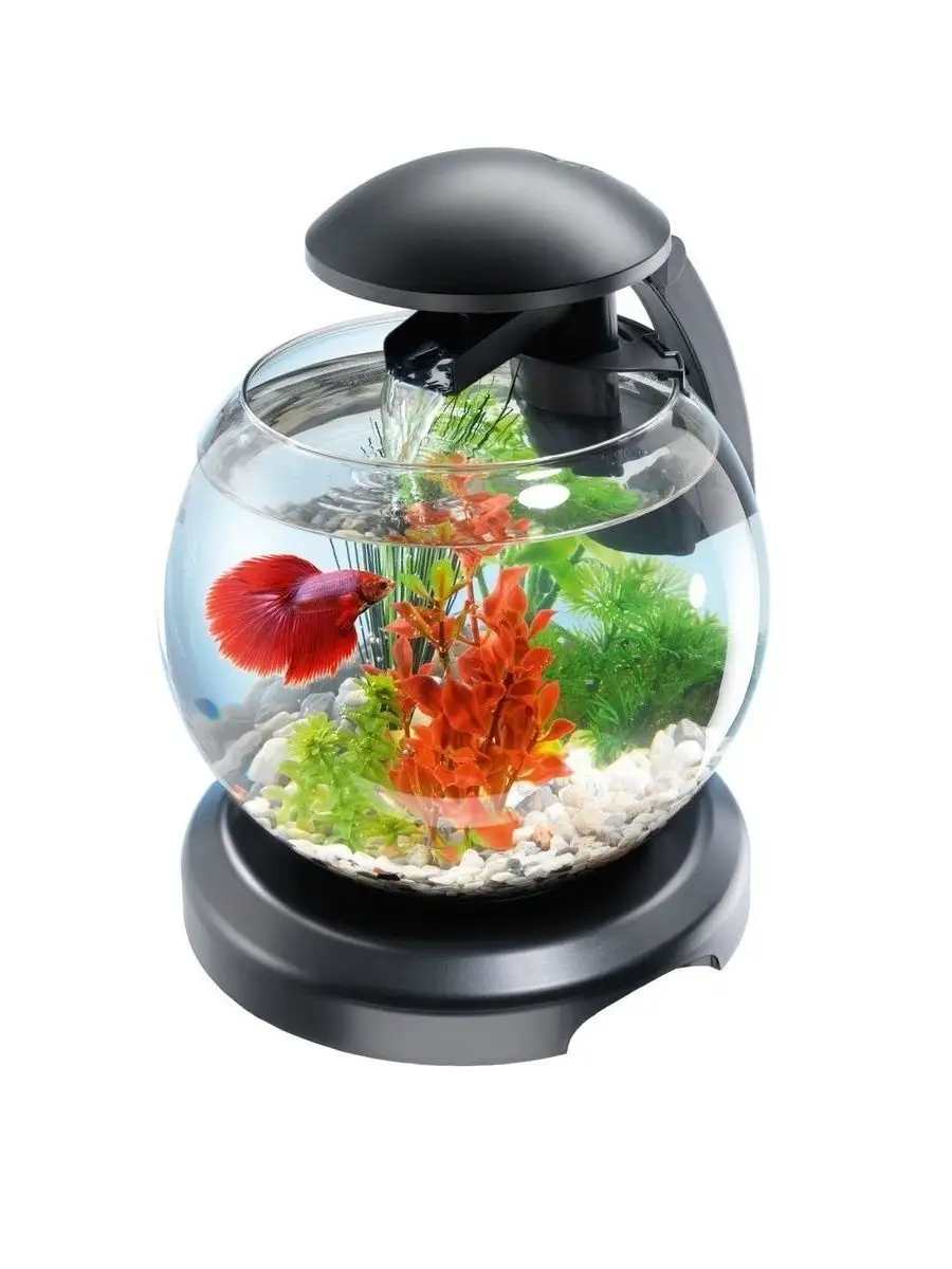 Аквариум Tetra Cascade Globe 6.8l ЧЕРНЫЙ - Круглый аквариум (Диаметр 27.9)  Tetra. 14056792 купить в интернет-магазине Wildberries