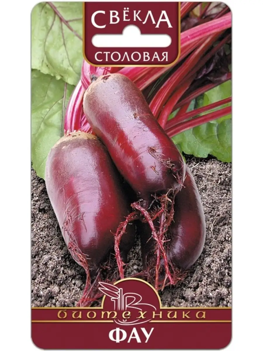 Купить Семена Свеклы Рафинад