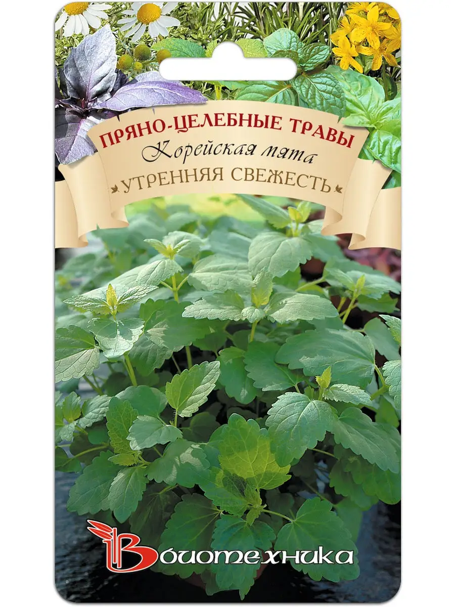 Семена Корейская мята Свежесть, 0.1г Биотехника 14078439 купить за 155 ₽ в  интернет-магазине Wildberries