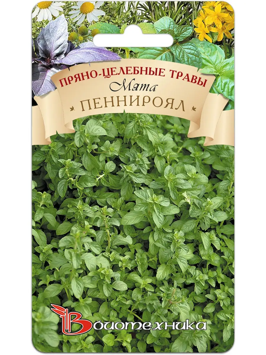 Семена Мята Пеннироял, 0.05г Биотехника 14078448 купить в интернет-магазине  Wildberries